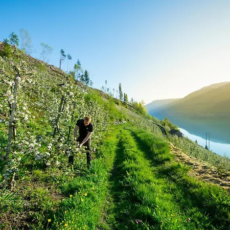 Atmosphere Apartment Odda