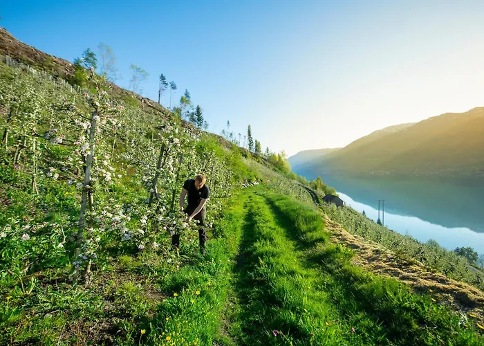 Atmosphere Lägenhet Odda